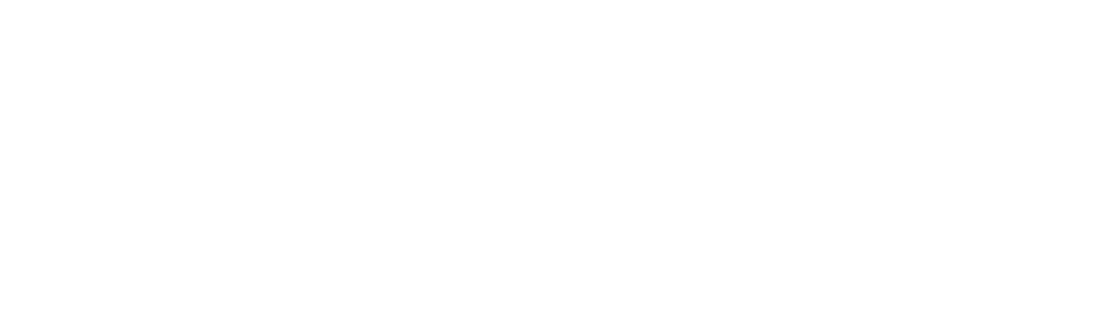 Chiptuning-logo-morkbaggrund-whiteoutline